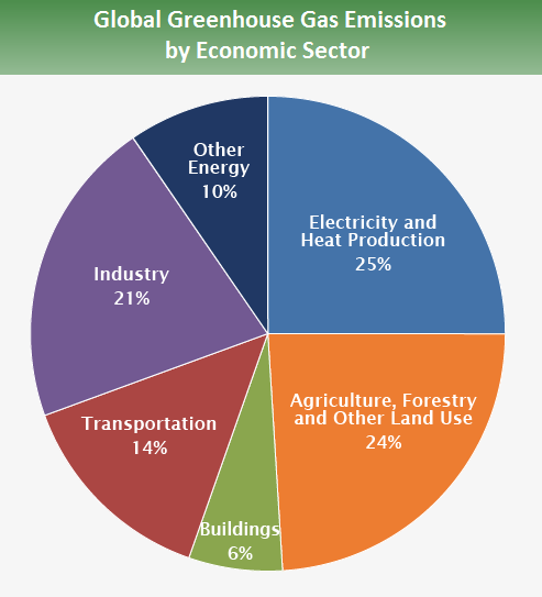 What Causes The Most Greenhouse Gases