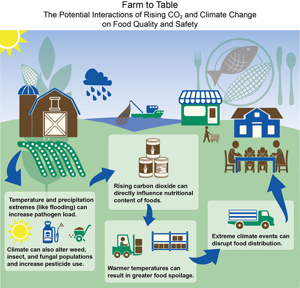 Exploring Adaptation Strategies for Vulnerable Species