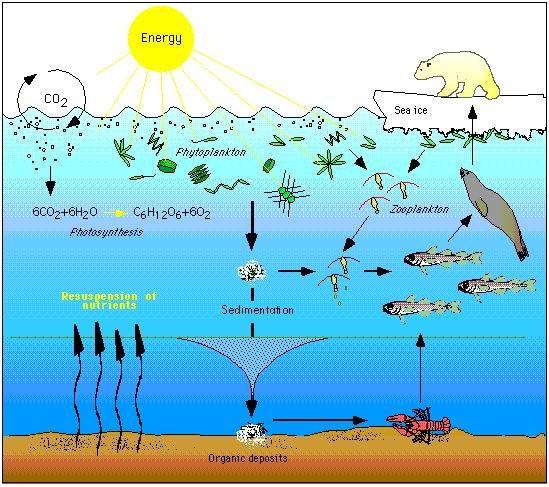 Climate Impacts on Ecosystems | Climate Change Impacts | US EPA