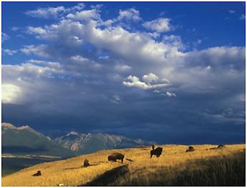 Climate Impacts in the Great Plains | Climate Change Impacts | US EPA